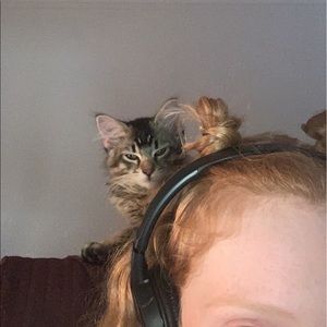 Meet your Posher, Paige